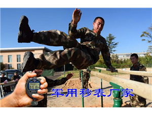 陸軍健身秒表測試記錄