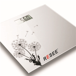 RS-6003體重秤