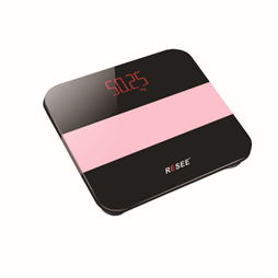 RS-6008體重秤